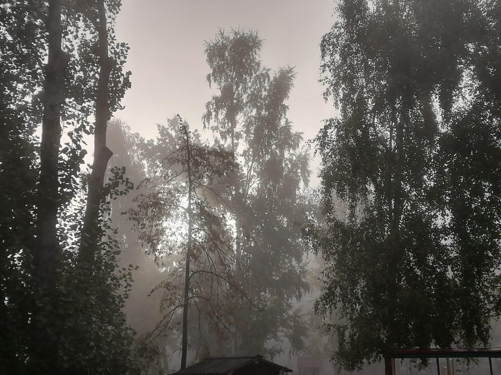Фото Ёжиковое счастье: плотный туман накрыл Новосибирск на рассвете 28 сентября 2